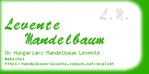 levente mandelbaum business card